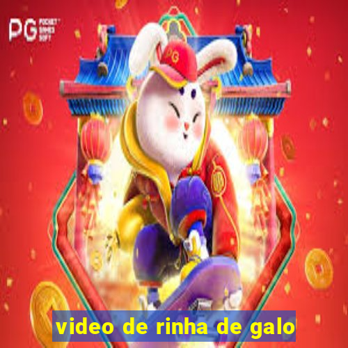 video de rinha de galo